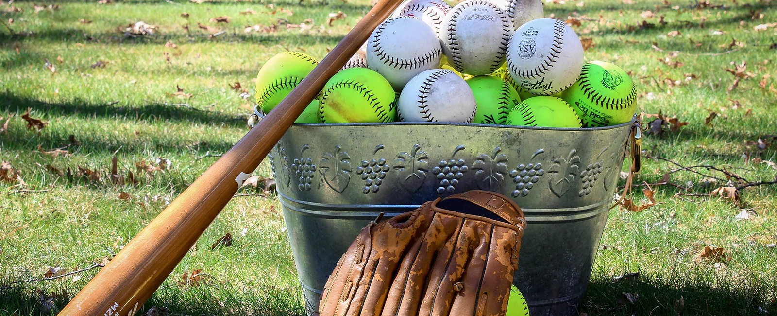 Beeball training
